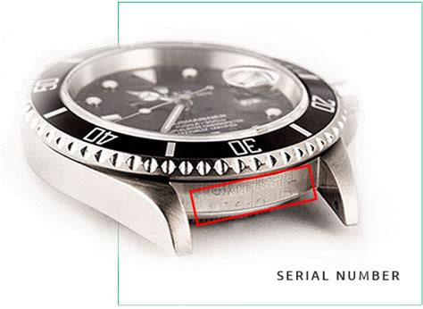 1905 rolex for sale|rolex serial number lookup.